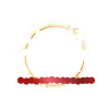 Sushi OHM